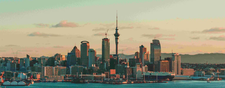 Auckland Council Revaluation Forms March 2024